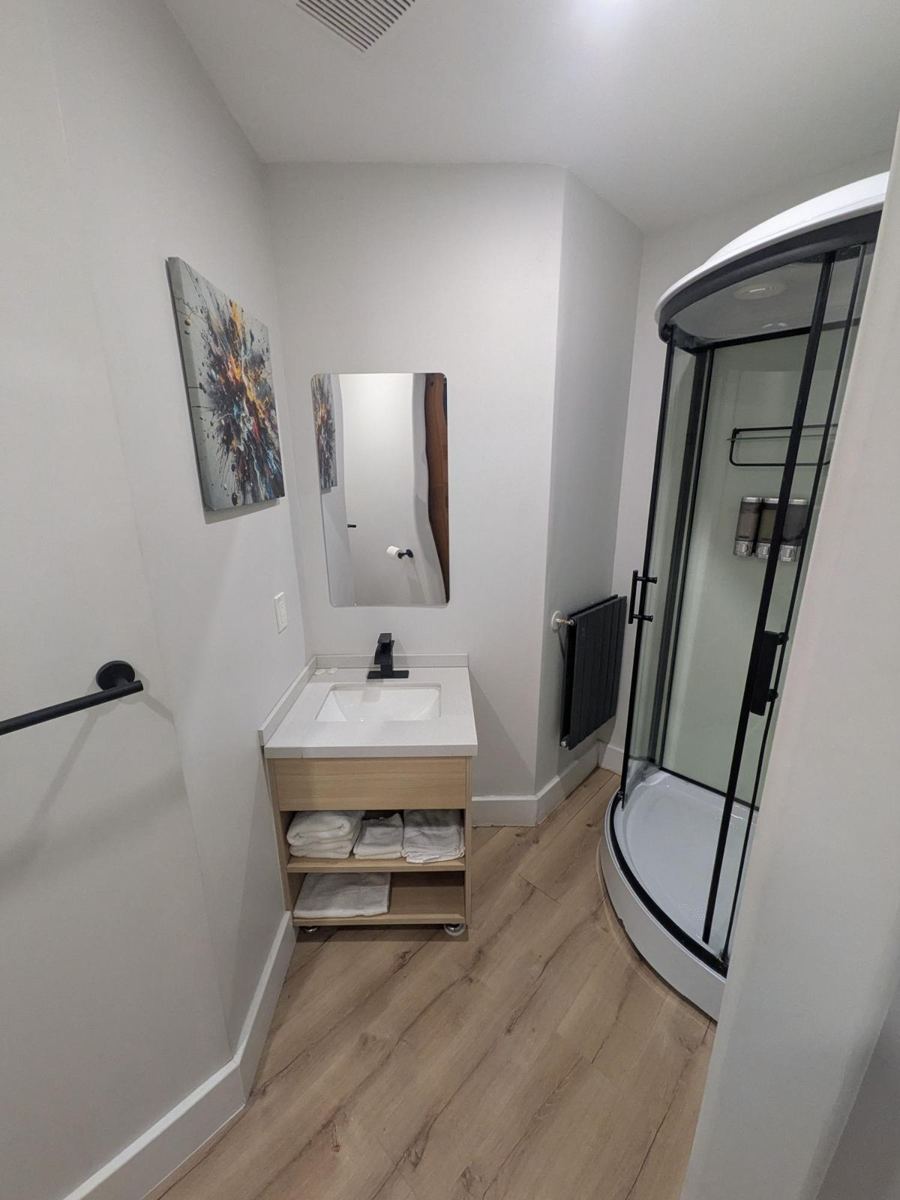 Bathroom vanity and shower